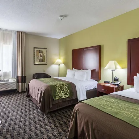Comfort Inn Decatur Priceville-2