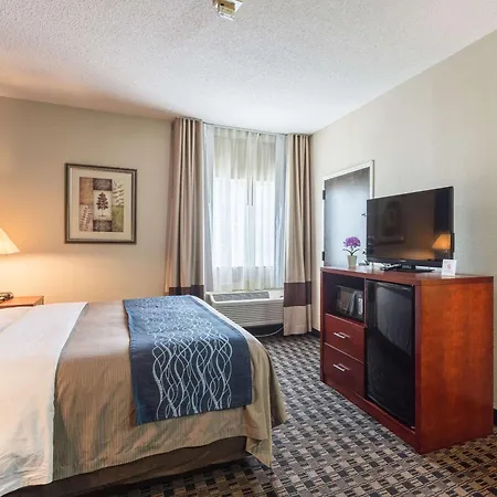 Comfort Inn Decatur Priceville-3